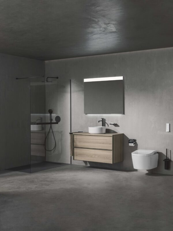 Roca Inspira collection – bathroom 1