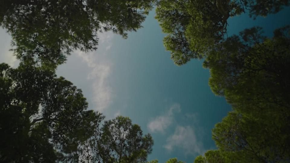 Roca sustainability
